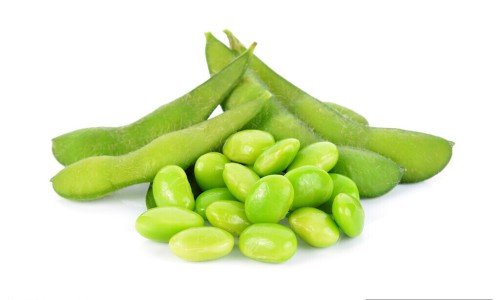 断食减肥原理是什么-断食减肥法减脂肪吗网 :分享断食减肥法-断食减肥法有用吗知识