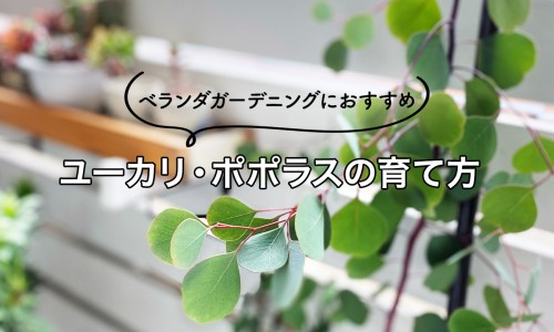 断食减肥法减脂肪吗网 :分享断食减肥法-断食减肥法有用吗知识