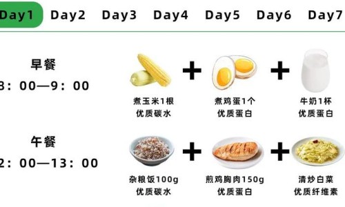 断食减肥法减脂肪吗有效果吗-断食减肥法减脂肪吗网 :分享断食减肥法-断食减肥法有用吗知识