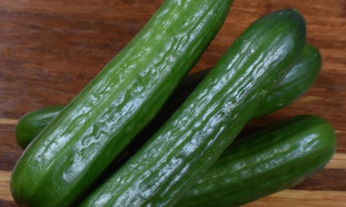 断食减肥成功了怎么保持-断食减肥法减脂肪吗网 :分享断食减肥法-断食减肥法有用吗知识